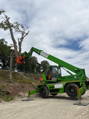 Merlo Telehandler Tree Work
