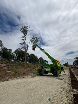 Tree Removal Operations