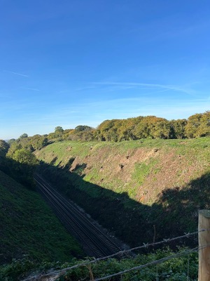 Rail Cutting Cleared