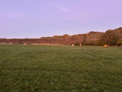 Embankment Clearance